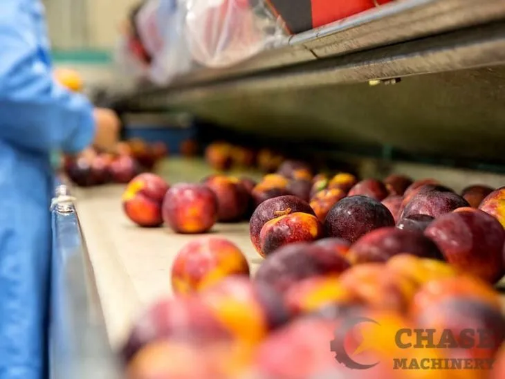 Apricot/Peach/Plum Processing Line